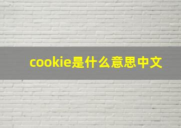 cookie是什么意思中文