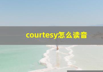 courtesy怎么读音