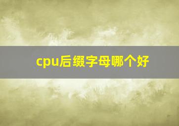 cpu后缀字母哪个好