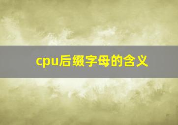 cpu后缀字母的含义