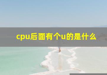 cpu后面有个u的是什么