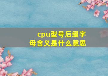 cpu型号后缀字母含义是什么意思