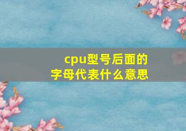 cpu型号后面的字母代表什么意思