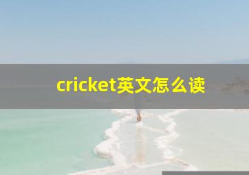 cricket英文怎么读