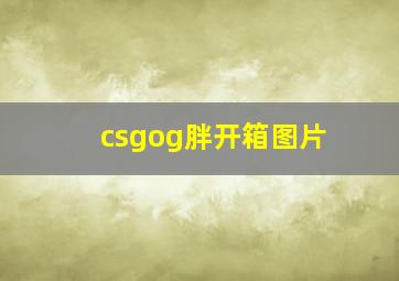 csgog胖开箱图片