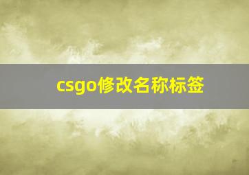 csgo修改名称标签