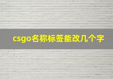 csgo名称标签能改几个字