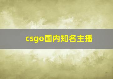 csgo国内知名主播