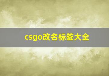 csgo改名标签大全