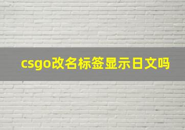 csgo改名标签显示日文吗