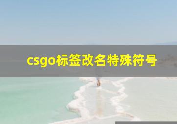 csgo标签改名特殊符号