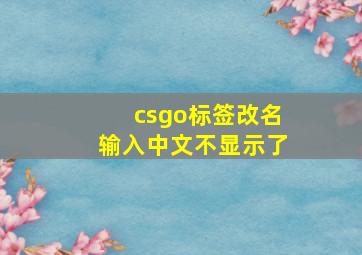 csgo标签改名输入中文不显示了