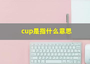 cup是指什么意思