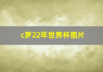 c罗22年世界杯图片