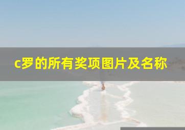 c罗的所有奖项图片及名称