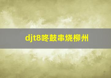 djt8咚鼓串烧柳州