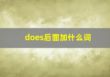 does后面加什么词