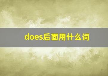 does后面用什么词