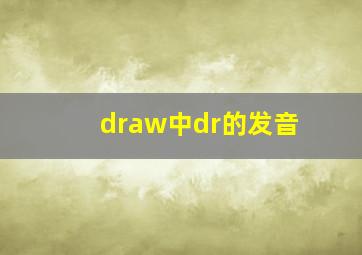 draw中dr的发音