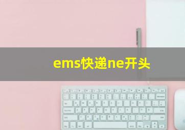 ems快递ne开头