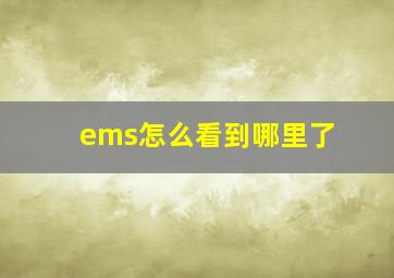 ems怎么看到哪里了