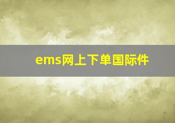 ems网上下单国际件