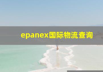 epanex国际物流查询