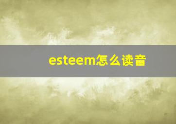 esteem怎么读音