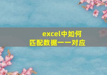 excel中如何匹配数据一一对应