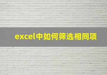 excel中如何筛选相同项