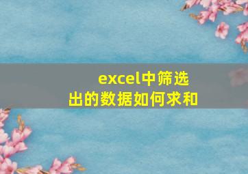 excel中筛选出的数据如何求和