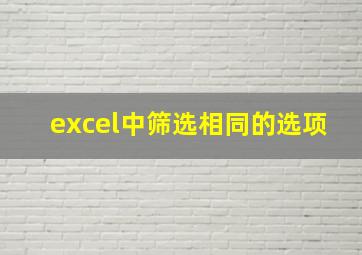 excel中筛选相同的选项