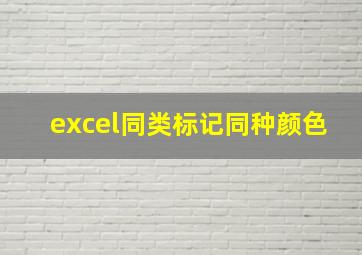 excel同类标记同种颜色