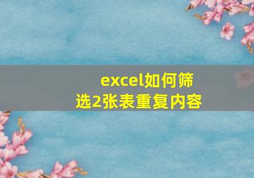 excel如何筛选2张表重复内容