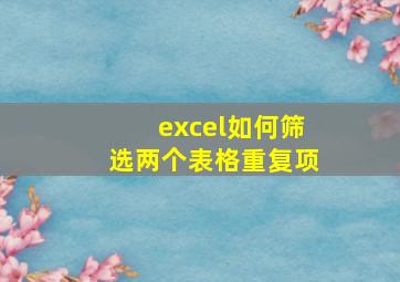 excel如何筛选两个表格重复项