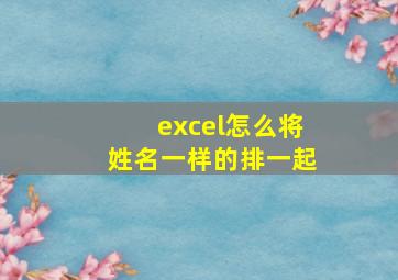 excel怎么将姓名一样的排一起