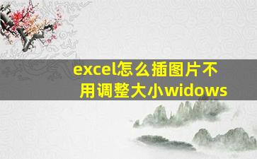 excel怎么插图片不用调整大小widows