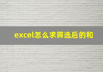 excel怎么求筛选后的和