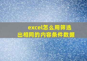 excel怎么用筛选出相同的内容条件数据