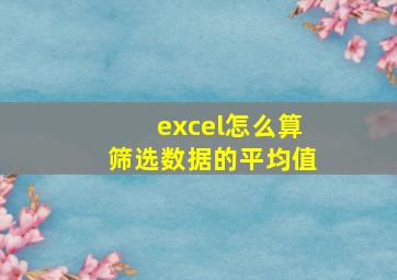 excel怎么算筛选数据的平均值