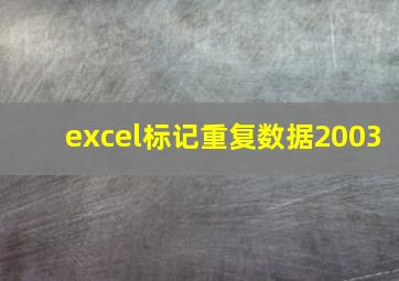 excel标记重复数据2003