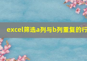 excel筛选a列与b列重复的行