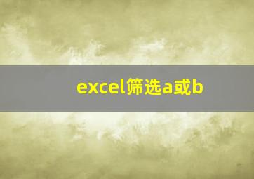 excel筛选a或b