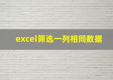 excel筛选一列相同数据