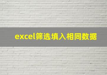 excel筛选填入相同数据