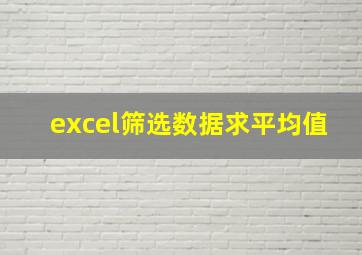 excel筛选数据求平均值