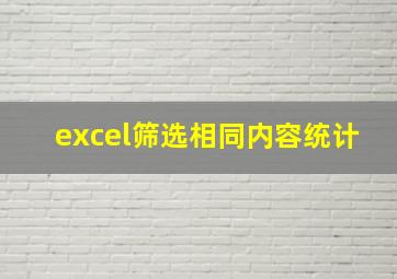 excel筛选相同内容统计