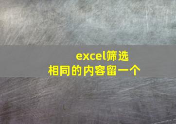 excel筛选相同的内容留一个