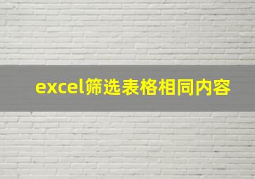 excel筛选表格相同内容