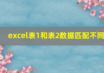 excel表1和表2数据匹配不同